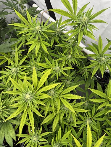 Growreport Bild 12
