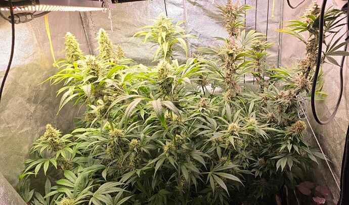 Growreport Bild 15