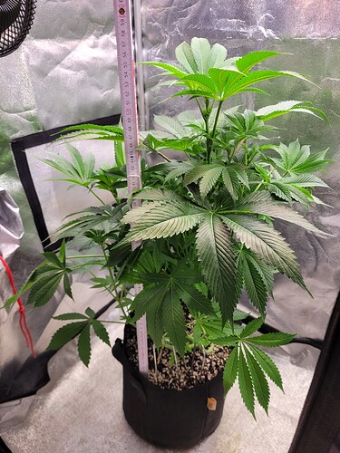 Growreport Bild 20