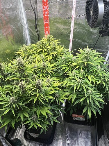Growreport Bild 23