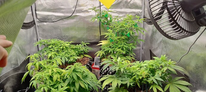 IMG_20251021_143727802_HDR