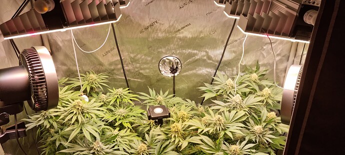 Growreport Bild 38