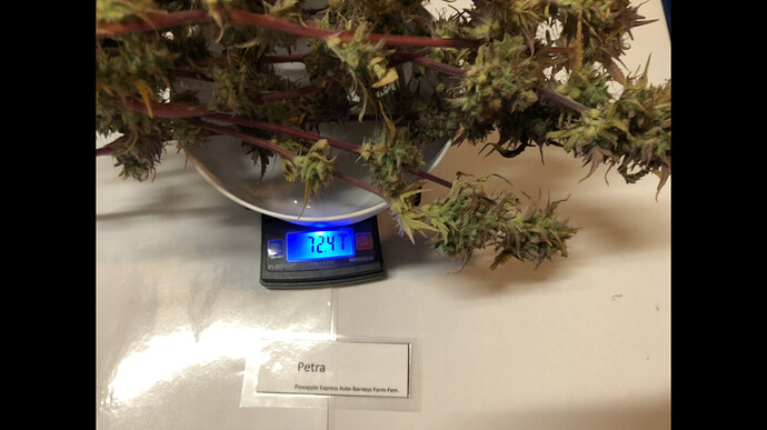 Growreport Bild 32