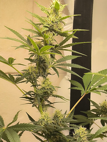 Growreport Bild 11