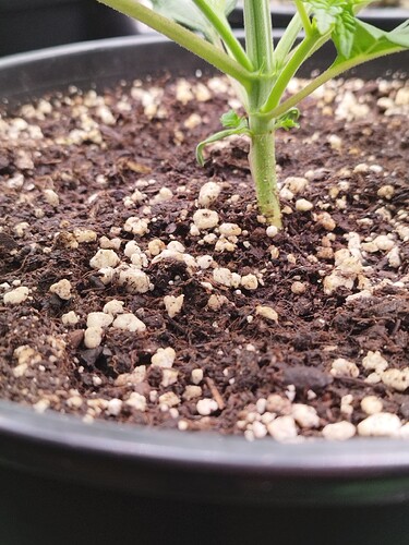 Growreport Bild 9