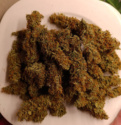Growreport Bild 1