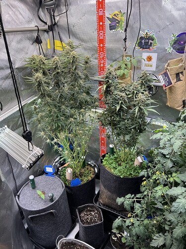 Growreport Bild 8