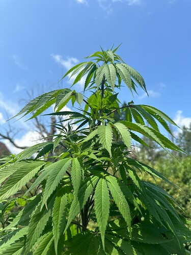 Growreport Bild 26