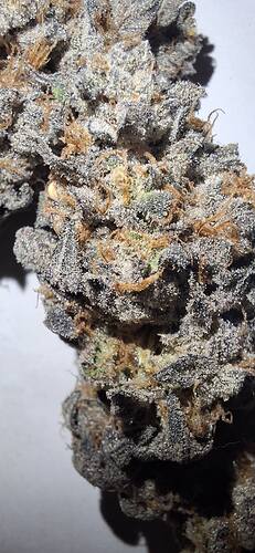 Growreport Bild 56
