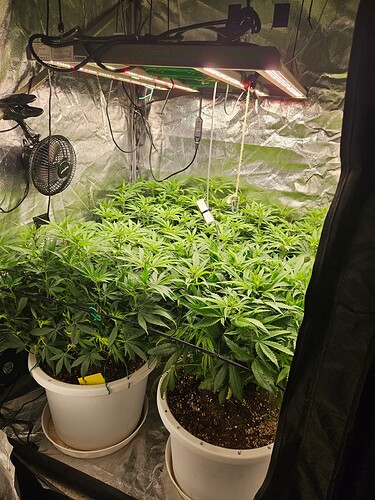 Growreport Bild 3