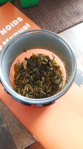 Growreport Bild 1