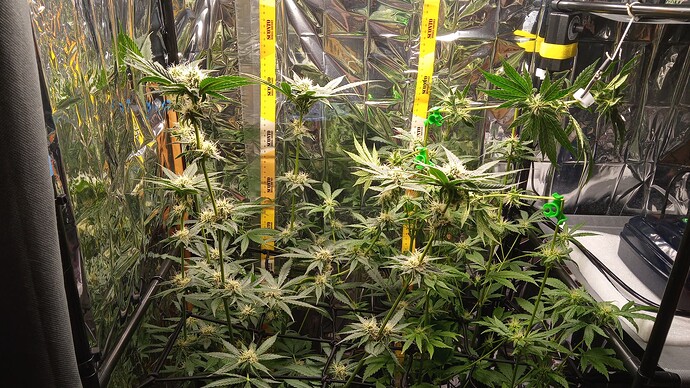 Growreport Bild 1