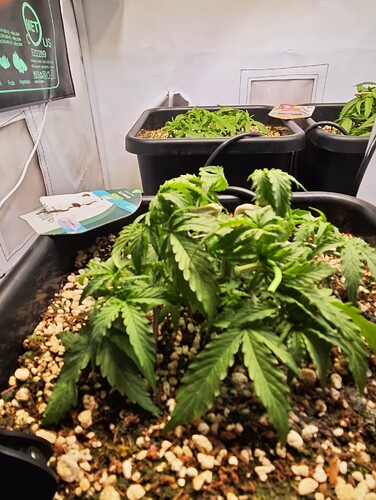 MVIMG_20251007_205106