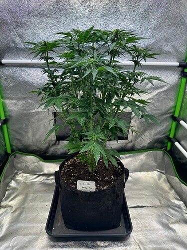Growreport Bild 5