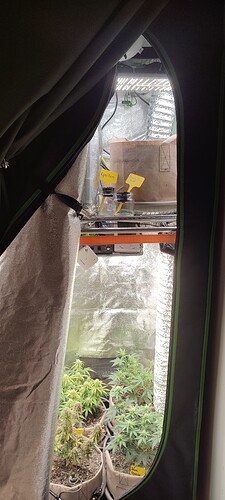 IMG_20240303_200705