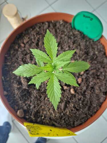 WhatsApp Image 2024-05-22 at 17.48.41 (4)