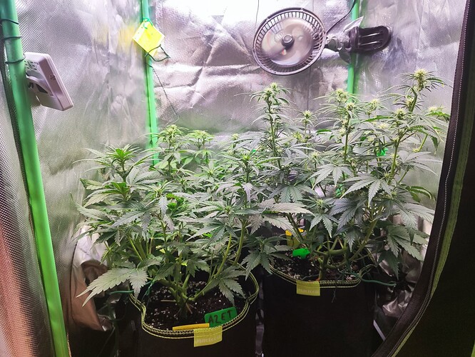 Growreport Bild 10