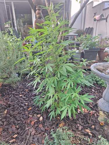 Growreport Bild 14