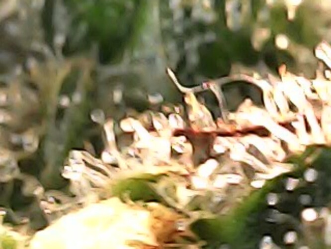 Photo_2024-04-28 07_42_09_124