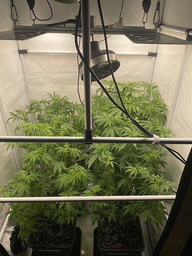 Growreport Bild 5