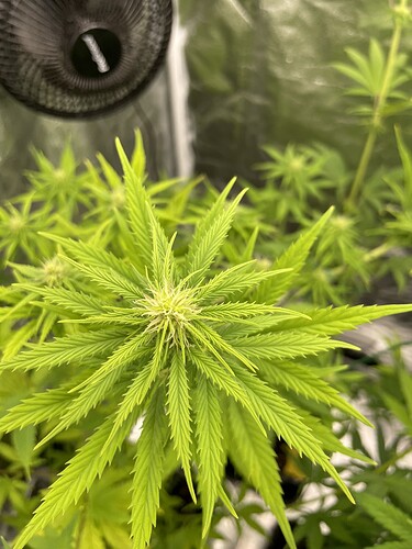 Growreport Bild 6