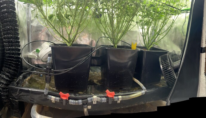 Growreport Bild 48