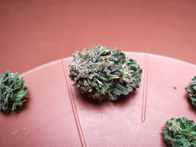 Growreport Bild 21