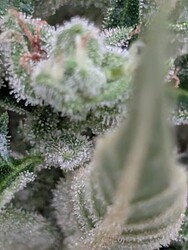 PXL_20250705_184950162