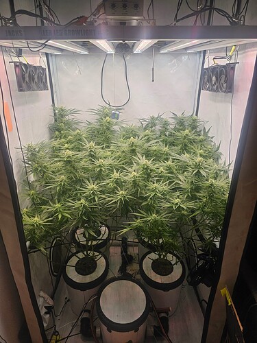 Growreport Bild 4