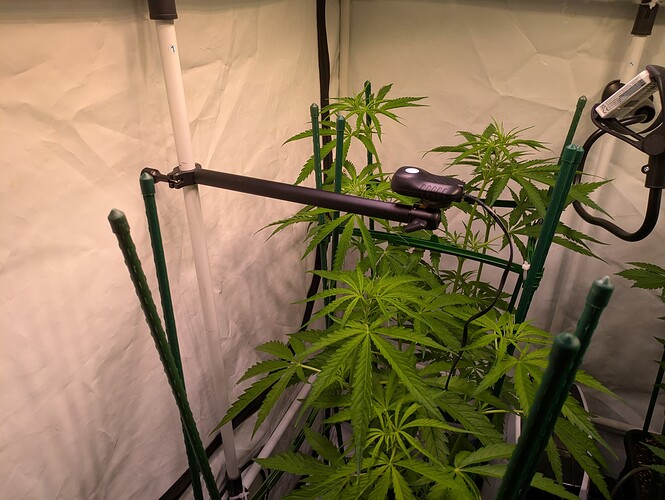 Growreport Bild 9