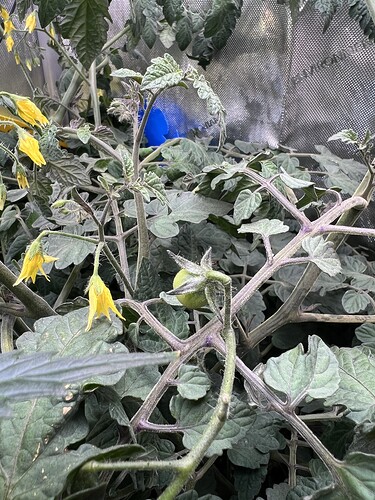 Growreport Bild 10