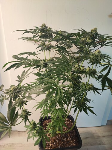Growreport Bild 14