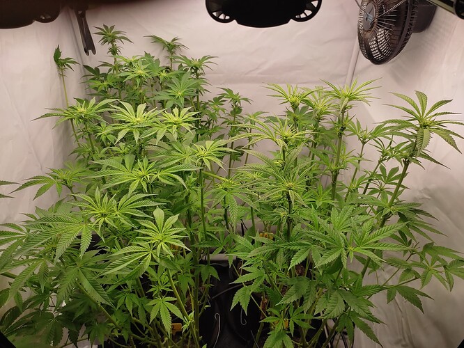 Growreport Bild 25