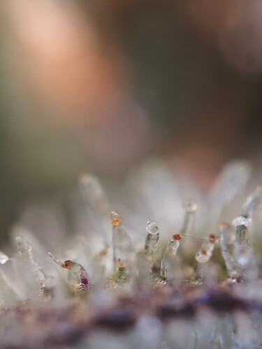 MVIMG_20251126_181704