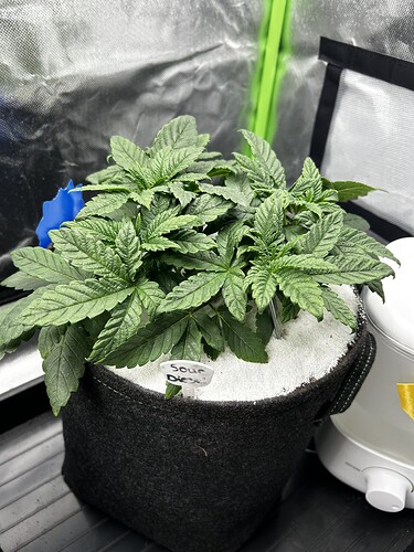 Growreport Bild 22