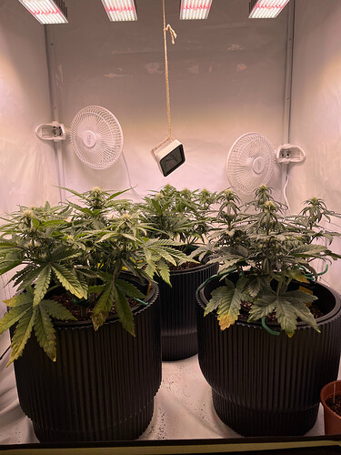 Growreport Bild 9
