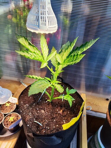 Growreport Bild 14