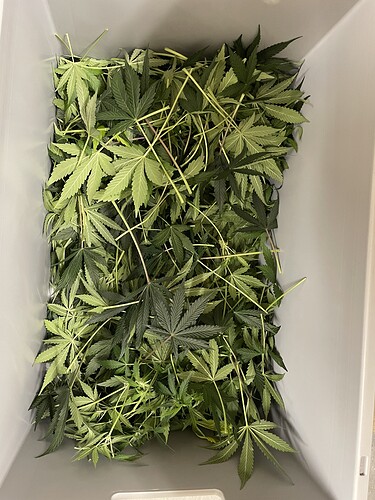 Growreport Bild 12