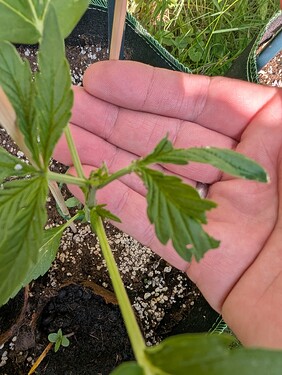 PXL_20250621_150751805