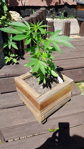 Growreport Bild 8