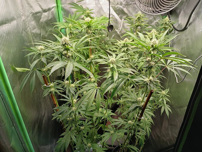 Growreport Bild 14