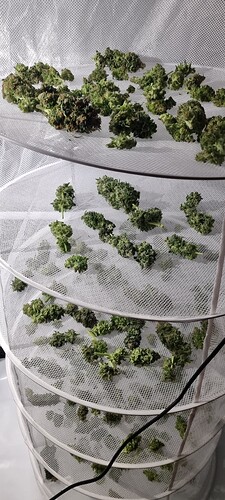Growreport Bild 39
