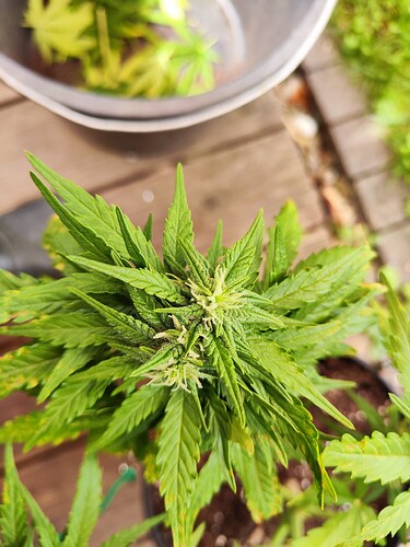 Growreport Bild 23