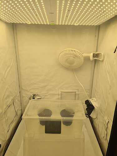 Growreport Bild 6