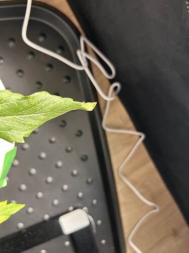 Growreport Bild 7