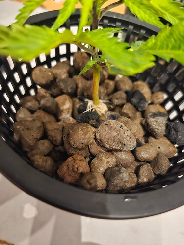 Growreport Bild 16