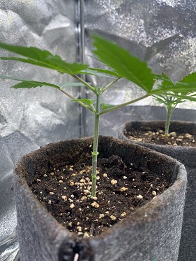 Growreport Bild 17