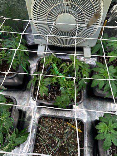 Growreport Bild 28