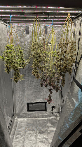 Growreport Bild 6