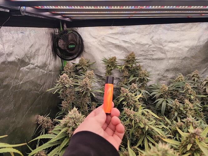 Growreport Bild 27